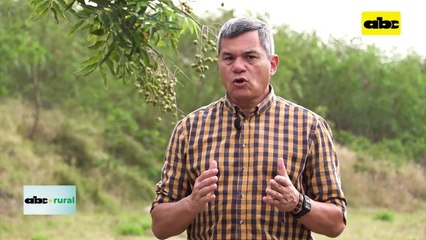 Video: porque suben los commodities, y “premios” que pagan los productores