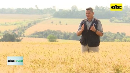 Video: Nutrición de corderos y ovinos en confinamiento