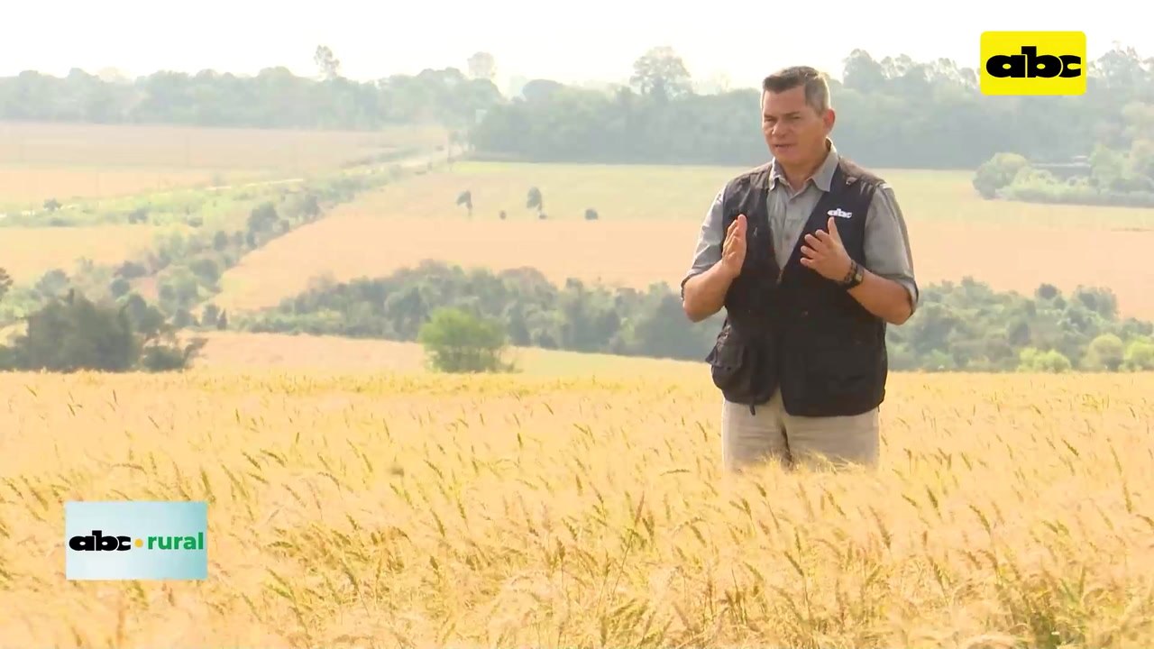 Video: Nutrición de corderos y ovinos en confinamiento