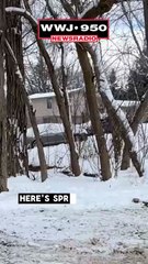 Man found dead, lived in barn that caught fired in Oakland County