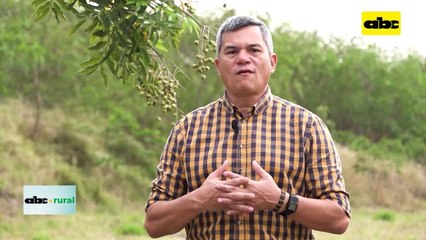 Video: realizaron “Apertura de Siembra de Soja”, campaña 2023/2024