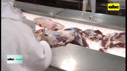 Video: presidente de ARP habla de peligroso monopolio brasilero en Frigoríficos