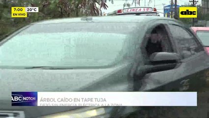 Video: Temporal causó destrozos