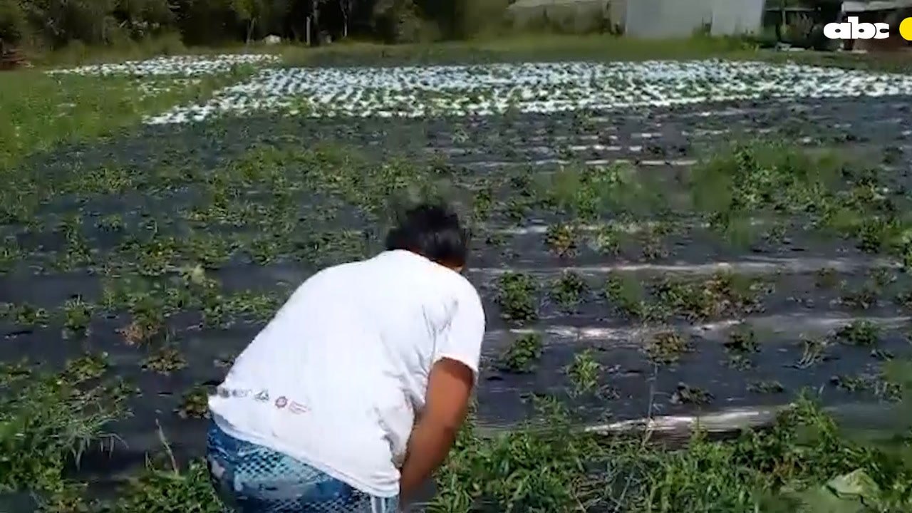 Temporal Causó Destrozos En Areguá