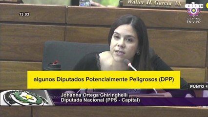 Pelea entre Yamil Esgaib y Johanna Ortega en Diputados