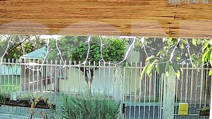 Ladrão atrapalhado! Criminoso furta bicicleta e cai ao sair de imóvel no Bairro Universitário