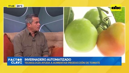 Invernadero automatizado: tecnología ayuda a aumentar producción de tomate