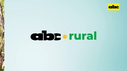 Video: historia de la producción de café en Corpus Christi y su actualidad