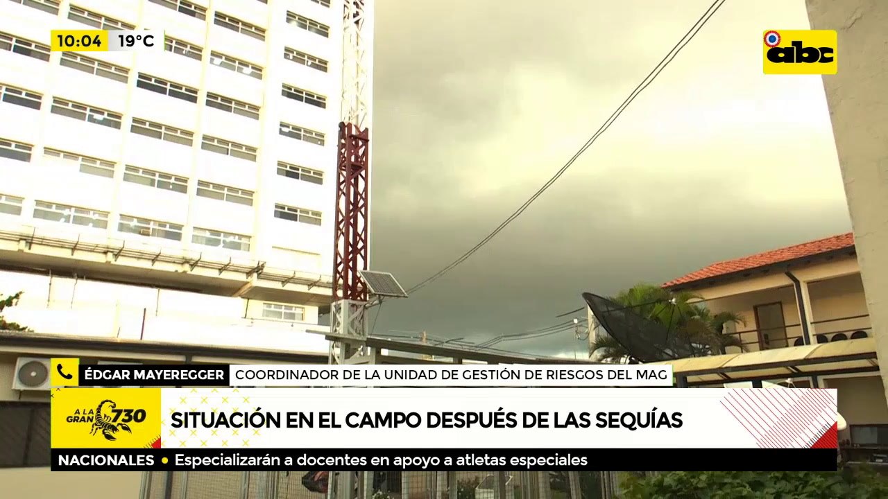 Situación actual de la zafra