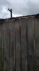 Granizada destrozó  varias viviendas en RI. 3 Corrales y afectados están aislados