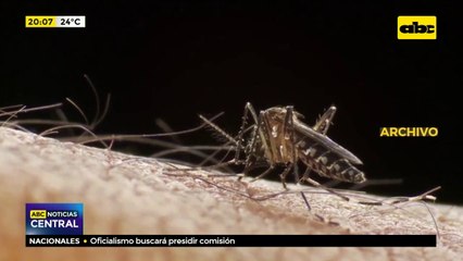 Dengue y chikunguña desplazan al covid