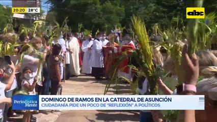 Celebración de Domingo de Ramos en la Catedral