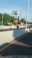Vaca en el viaducto del Botánico