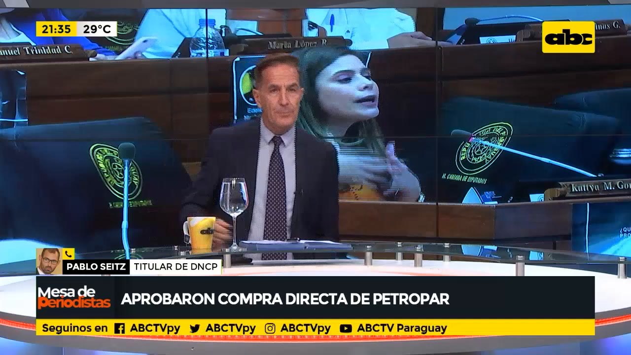 "El proyecto aprobado no quita a Petropar del control de contrataciones públicas" afirma Pablo Seitz
