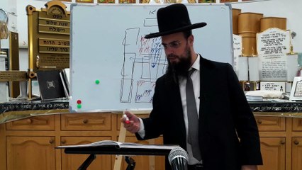 מו"ר הגאון הרב שקד בוהדנה שליט"א-שער המצוות שיעור מד': דיני בהמה חיה ועף ודגים וארבה הטמאים והטהורים