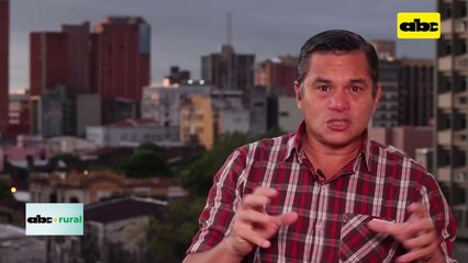 Producción de mandioca junto al cultivo de soja y ayuda a vecinos