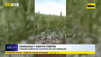 Granizada y viento fuerte en Los Cedrales, Alto Paraná