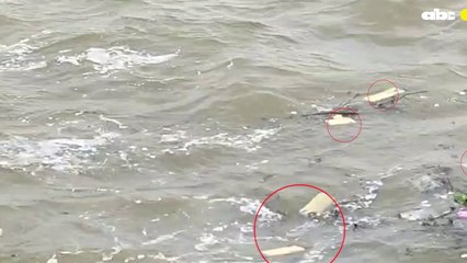 Unos 300 kilos de marihuana prensada estaba flotando en el Paraná