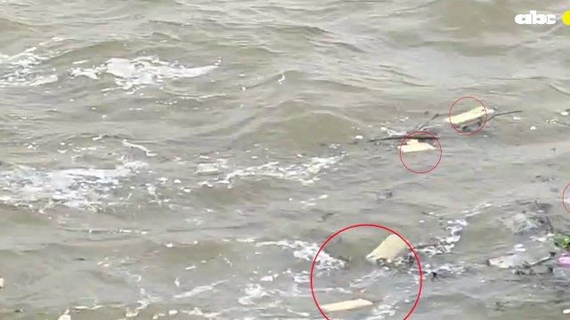 Unos 300 kilos de marihuana prensada estaba flotando en el Paraná