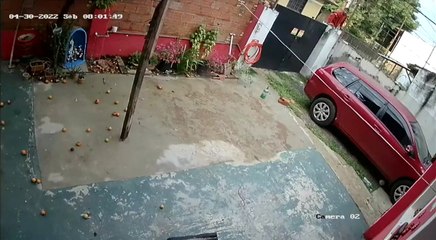 Policía detiene a presunto ladrón que aparece en cámara de circuito cerrado