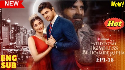 Fated to My Homeless Billionaire Alpha Short Drama
