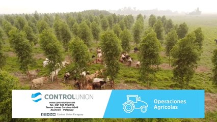 Carne carbono neutro uruguaya va a Europa