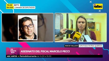 Diputados sobre el asesinato del Fiscal Marcelo Pecci: "La mafia no tiene fronteras"