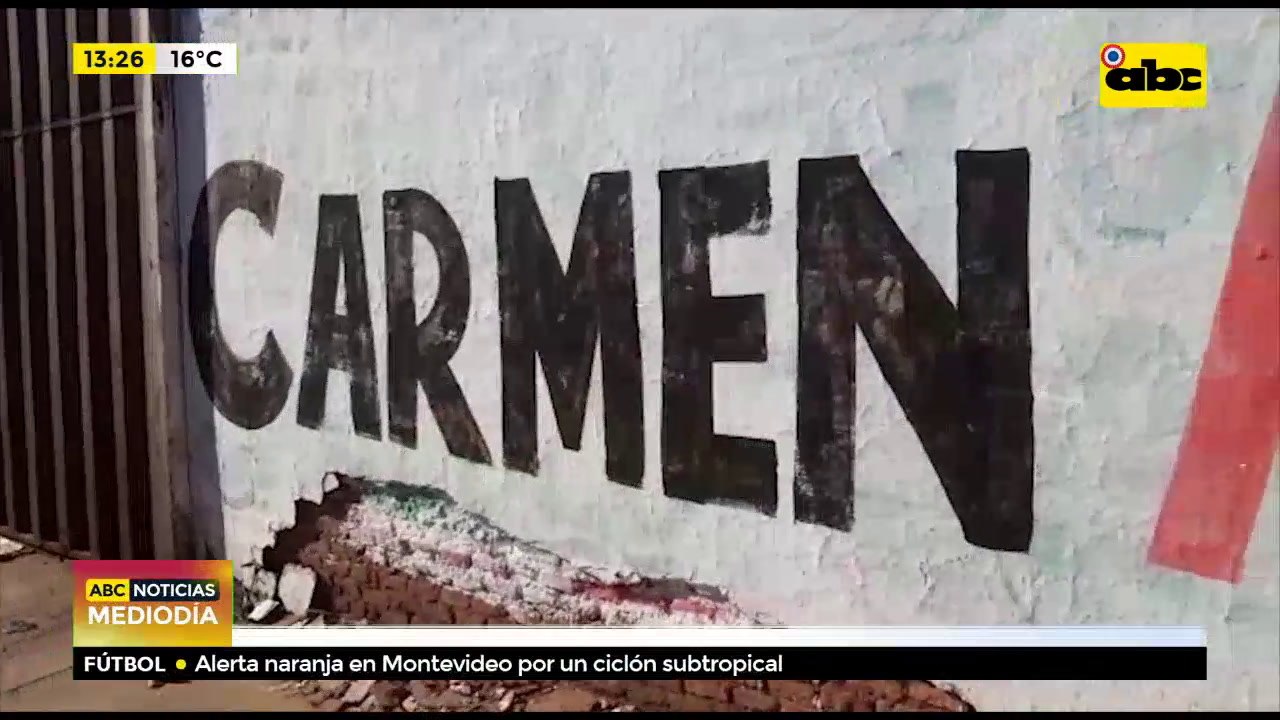 Propaganda electoral extemporánea
