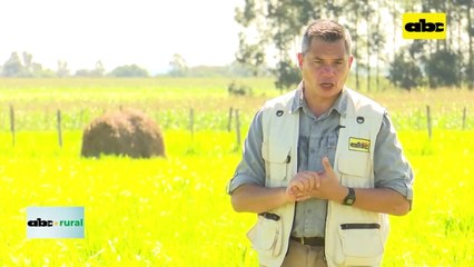 Uso de Microorganismos Eficaces en tratamiento de efluentes