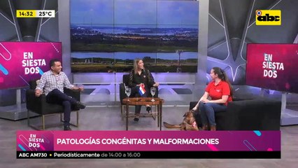 Patologías congénitas y malformaciones en nuestras mascotas
