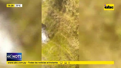 Este fue el incidente donde se usó el arma con el cual atentaron contra el intendente de PJC