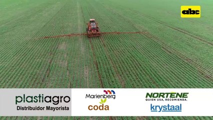 Asesor de Capeco habla sobre perspectivas climáticas