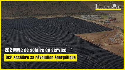 202 MWc de solaire en service: OCP accélère sa révolution énergétique