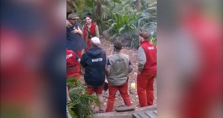 Vogue Williams leaves the jungle