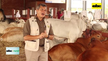 Producción Forestal y el desafío de unir a los actores de la cadena