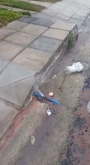 Caño roto que pierde agua