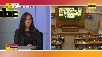 Senado aprueba llevar informe de Seprelad a EE.UU.