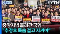 중앙지법 몰려간 국민의힘...