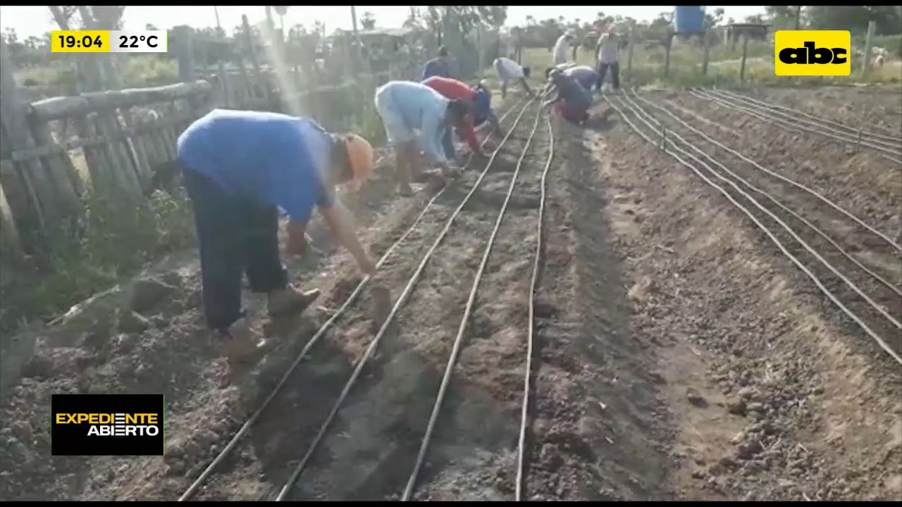 Actualización de causas judiciales de exministros del MAG por supuesto desvío de fondos