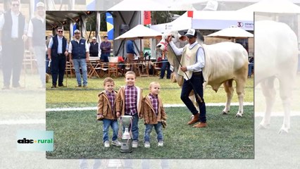 Criadores de Nelore tuvieron su Nacional de la raza