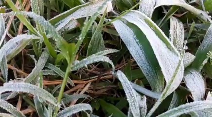 Ciudad del Este registró helada este domingo