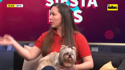 Enfermedades venéreas en mascotas y la importancia de la castración