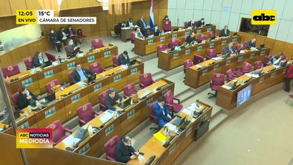 Rossel y Bogarín juraron esta mañana en el Senado como nuevos miembros del TSJE