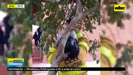 Mykurẽ fue rescatado en escuela de San Antonio