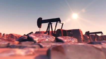 Los Plásticos En Los Océanos