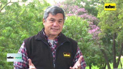 Control de alimentos que reciben vacas lecheras