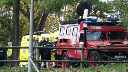 La UME se despliega para controlar la peste porcina