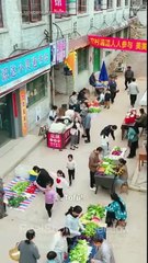 Mom, Sis, I Regret Now!