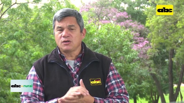 Control de alimentos que reciben vacas lecheras