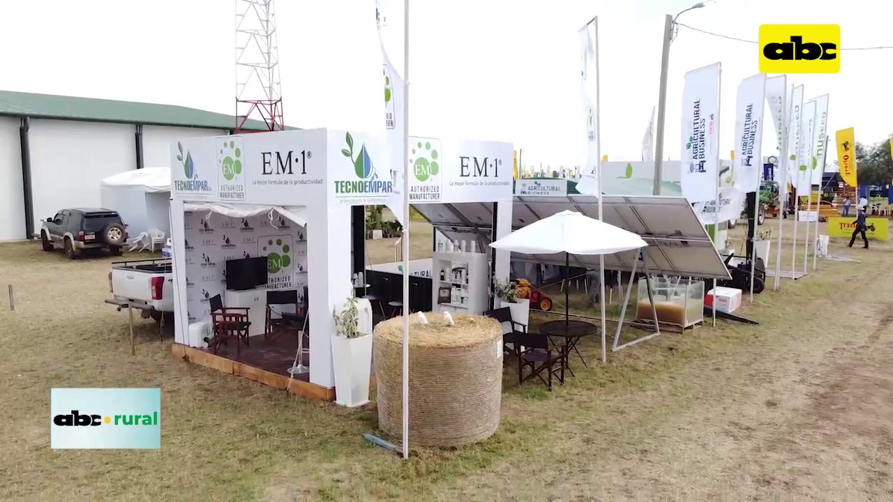 Microorganismos eficaces en ganado de leche y carne